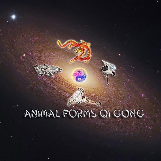 animal forms